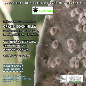 SCAOAX38: Grana cochinilla. Entramados desde la biología, las artes plásticas y la historia. / Oaxaca