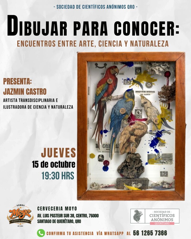 “Dibujar para conocer: encuentros entre arte, ciencia y naturaleza” / Querétaro