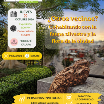 ¿Otros vecinos? Cohabitando con la fauna silvestre y la flora de la ciudad / Estudios sobre la fauna y la flora que comparten la ciudad con nosotros. / Xalapa