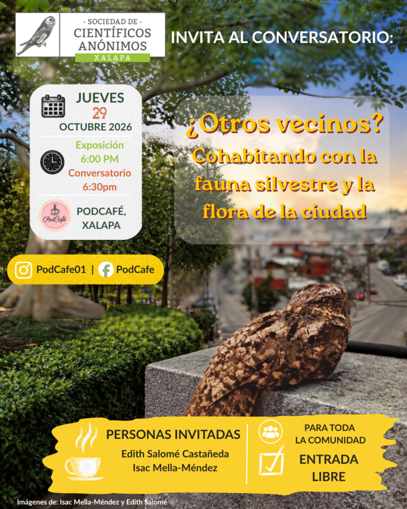 ¿Otros vecinos? Cohabitando con la fauna silvestre y la flora de la ciudad / Estudios sobre la fauna y la flora que comparten la ciudad con nosotros. / Xalapa